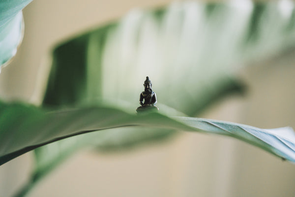 Roho - A small statue of Buddha on a leaf